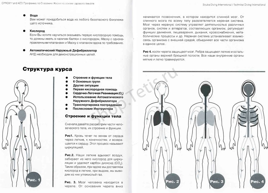 Учебник к курсу Первая помощь. Дайвинг.